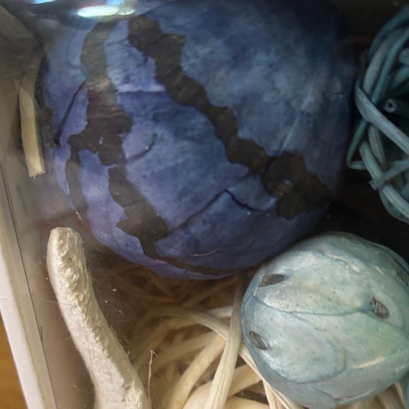 Decorative Vase Bowl Fillers Beach Seashell Blue & Tea Orb Ball Sphere GIFT NEW - Picture 7 of 8